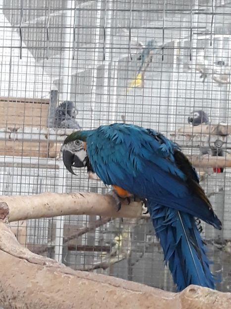  - 2019 - Excursie Constanta