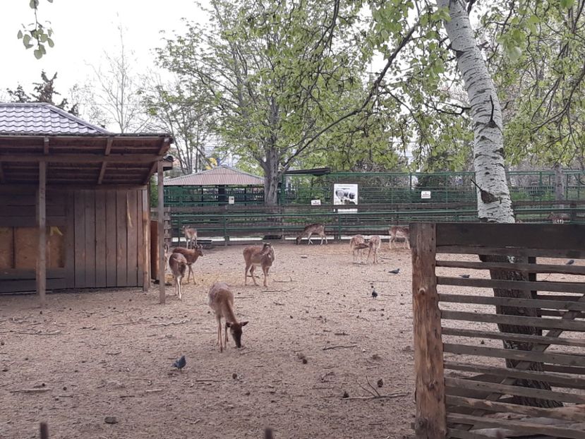  - 2019 - Excursie Constanta