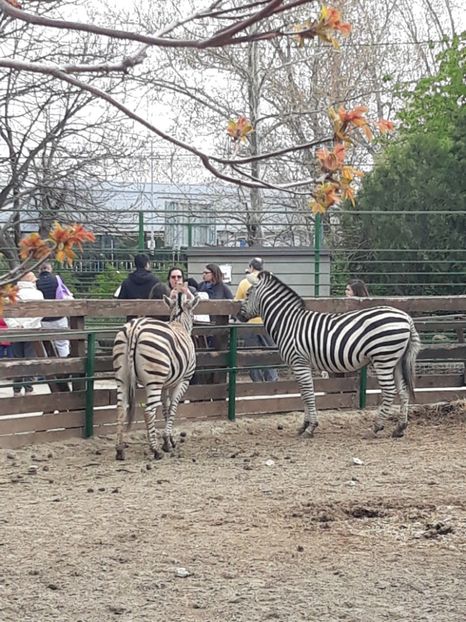  - 2019 - Excursie Constanta