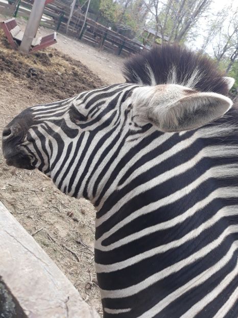  - 2019 - Excursie Constanta