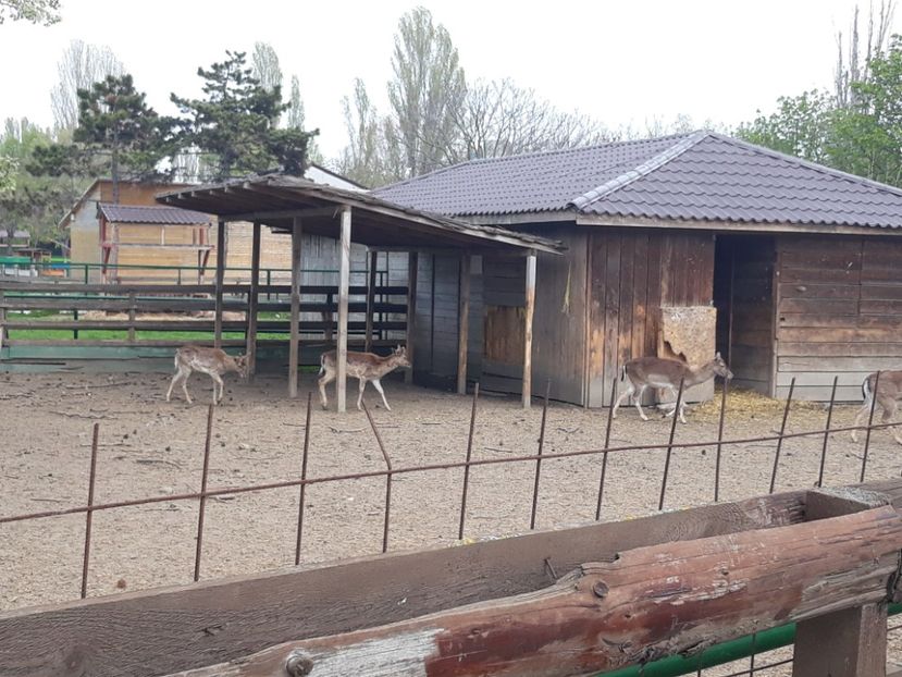  - 2019 - Excursie Constanta