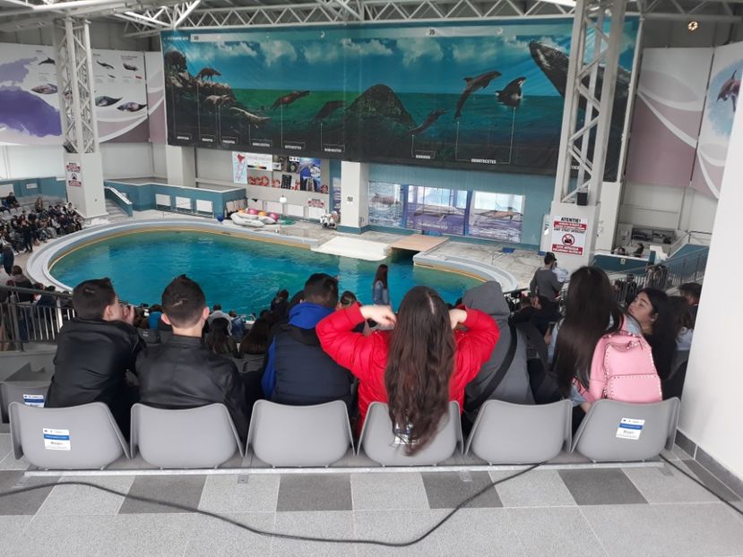  - 2019 - Excursie Constanta