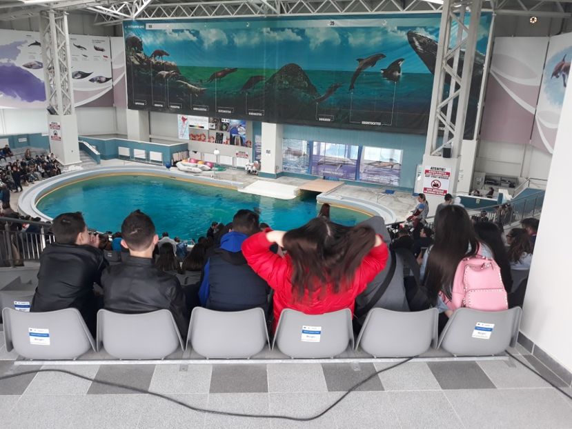  - 2019 - Excursie Constanta