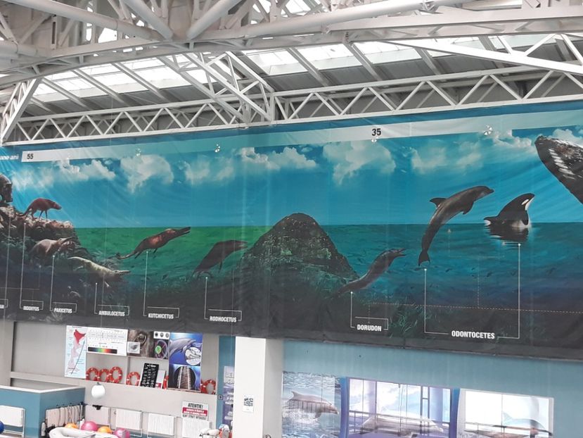  - 2019 - Excursie Constanta