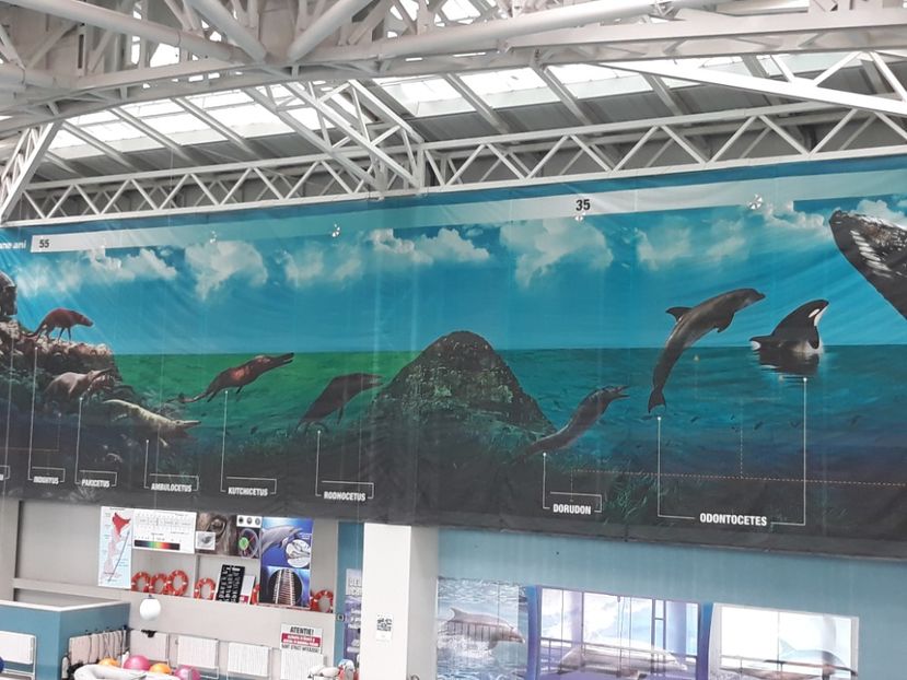  - 2019 - Excursie Constanta