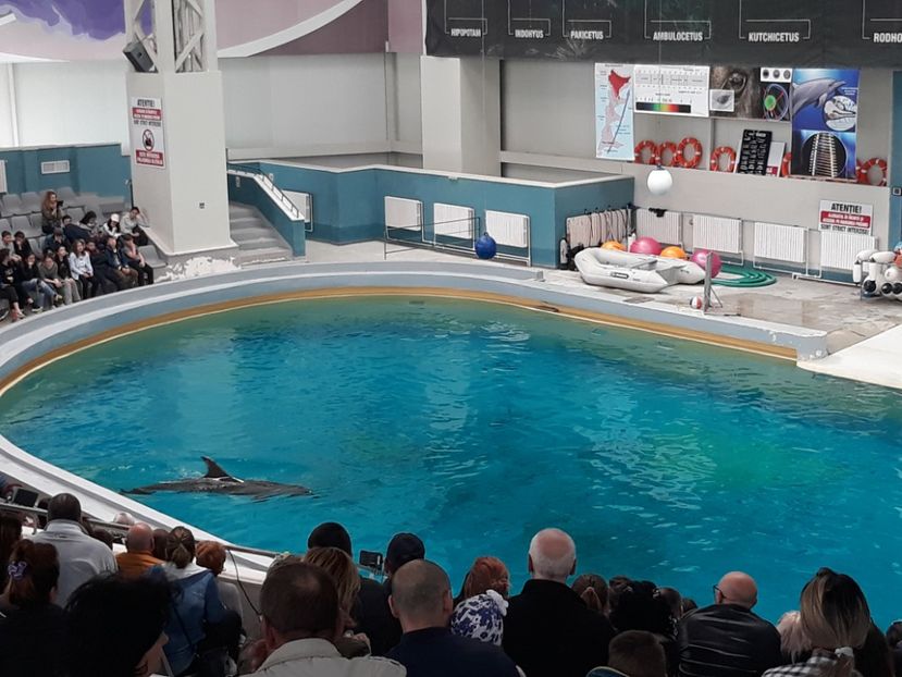  - 2019 - Excursie Constanta