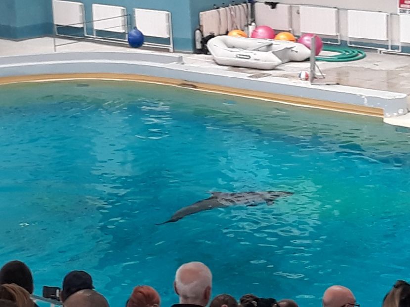  - 2019 - Excursie Constanta