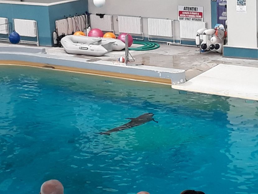  - 2019 - Excursie Constanta