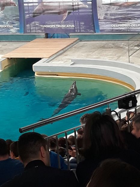  - 2019 - Excursie Constanta