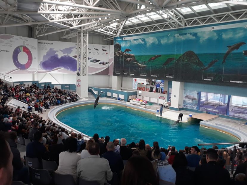  - 2019 - Excursie Constanta