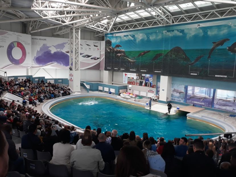  - 2019 - Excursie Constanta