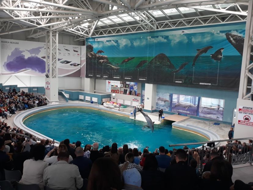  - 2019 - Excursie Constanta