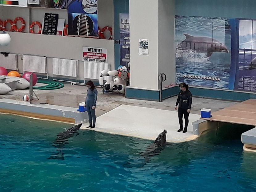  - 2019 - Excursie Constanta