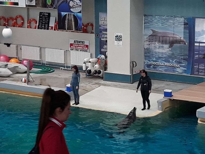  - 2019 - Excursie Constanta