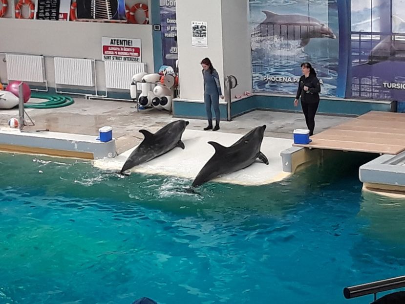  - 2019 - Excursie Constanta