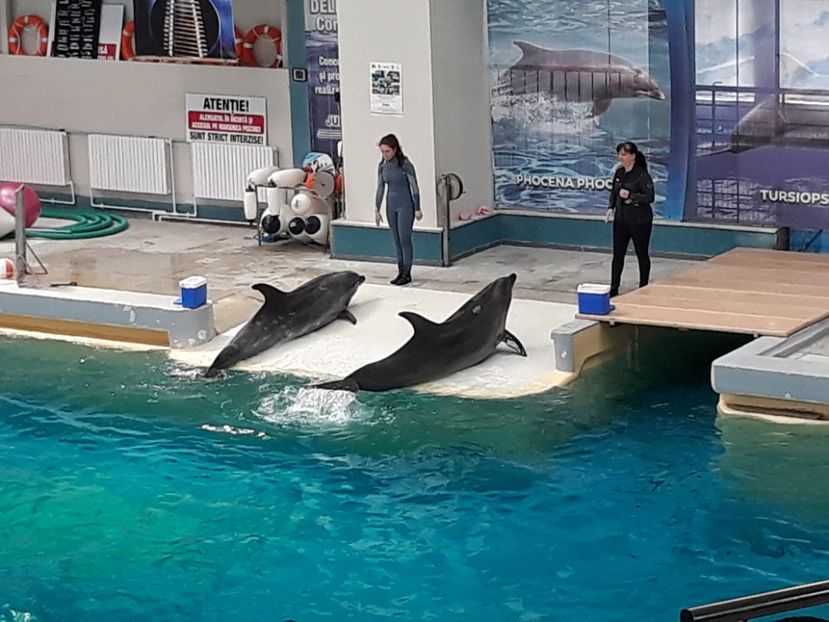  - 2019 - Excursie Constanta