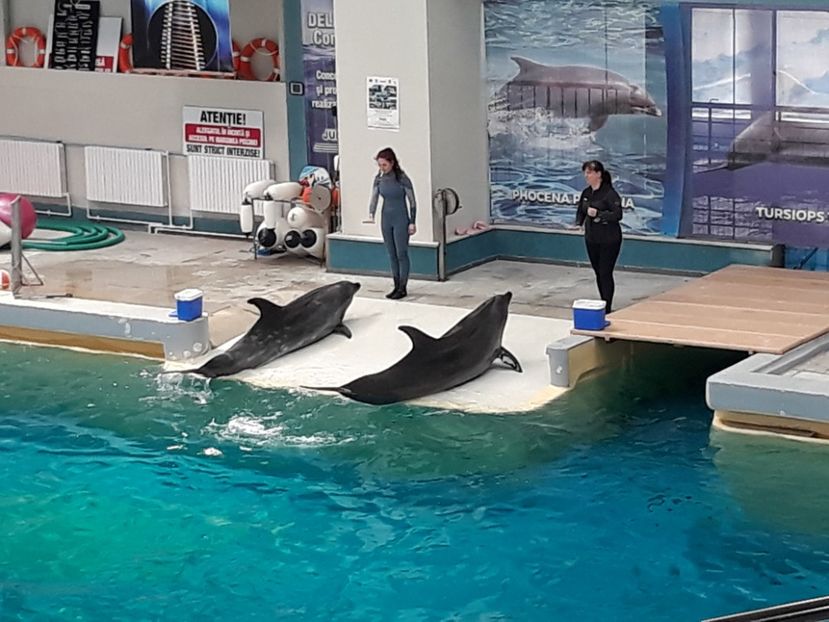  - 2019 - Excursie Constanta