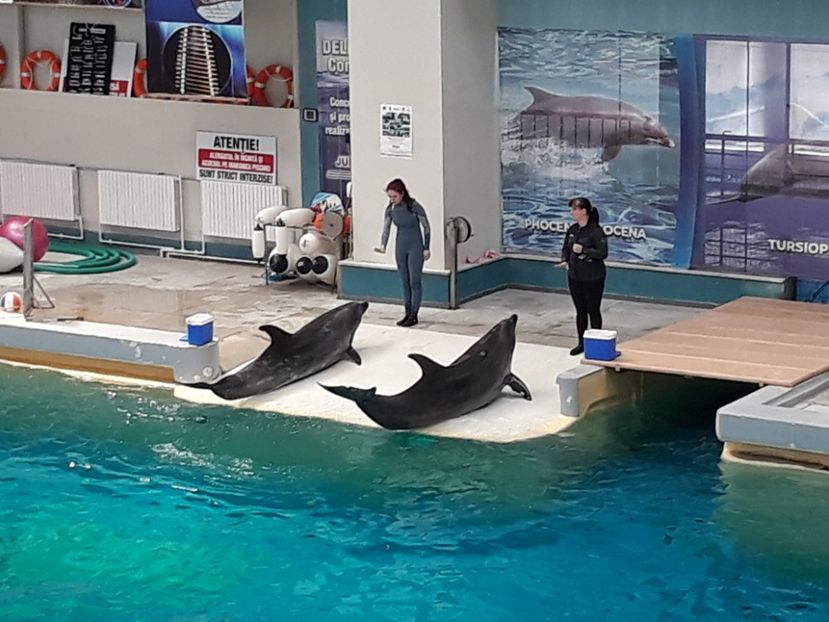  - 2019 - Excursie Constanta