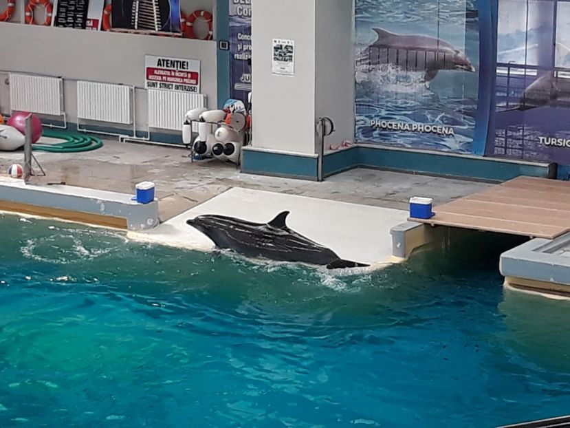  - 2019 - Excursie Constanta