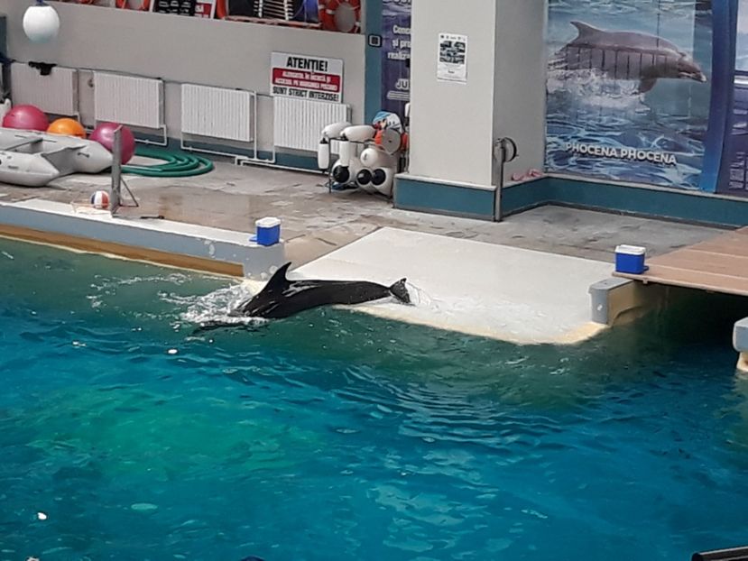  - 2019 - Excursie Constanta