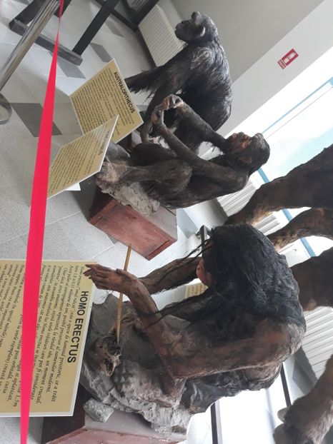  - 2019 - Excursie Constanta