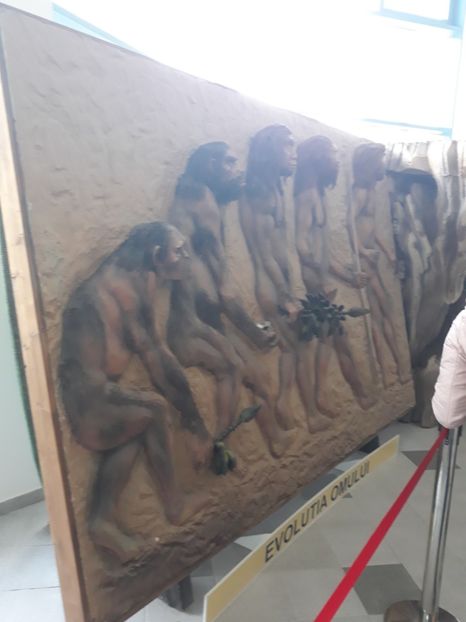  - 2019 - Excursie Constanta