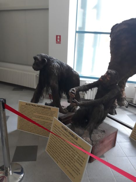  - 2019 - Excursie Constanta