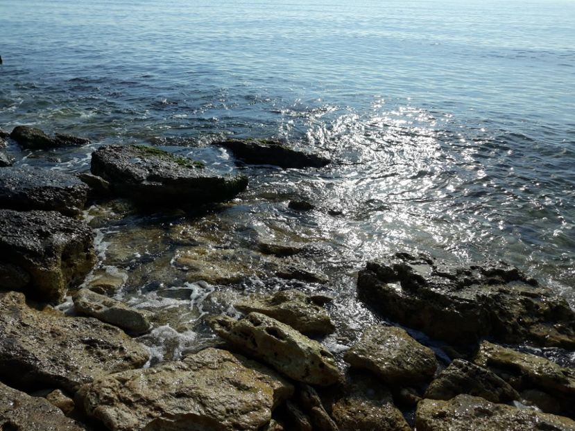  - 2019 - Excursie Constanta