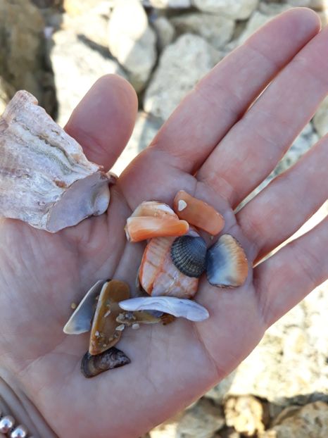  - 2019 - Excursie Constanta