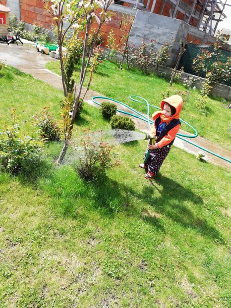  - AA - In  gradina mea