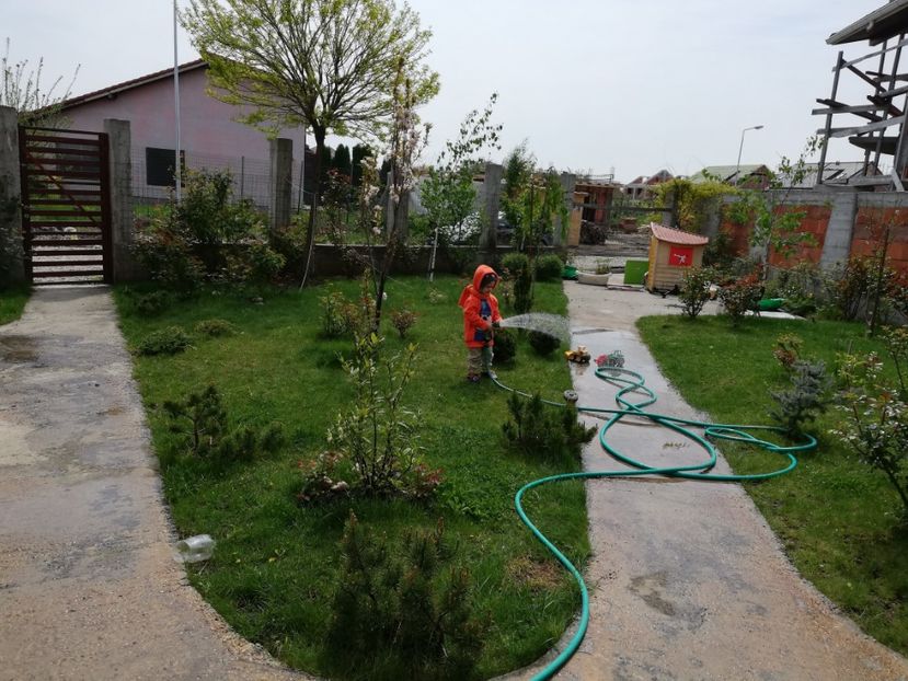  - AA - In  gradina mea