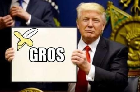  - Sezonul 5 insula iubirii - memes 1