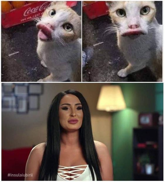  - Sezonul 5 insula iubirii - memes 1