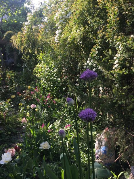 3A7A2F0D-F37A-47DB-B32A-C439F9142065 - Aprilie