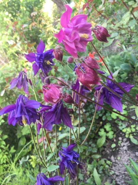 7D222EEC-AAE1-4E60-9DDD-98C333B7251D - Aprilie