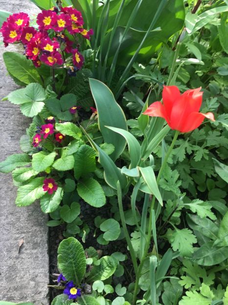 C0F62771-FA31-4EAA-A227-A09BCABE85E5 - Aprilie