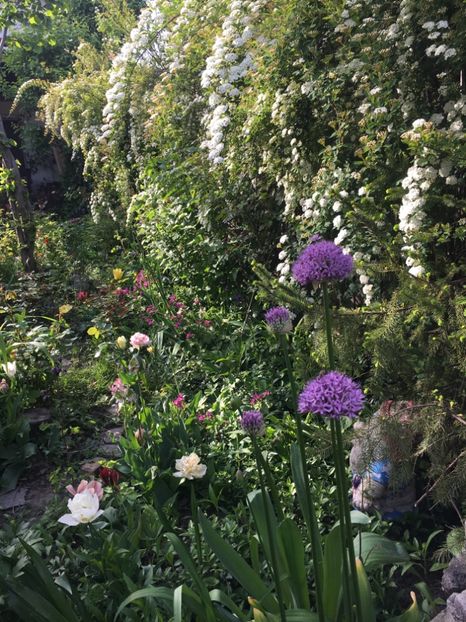 E99C67C6-67E9-47AF-960A-C0488A2E3B0A - Aprilie