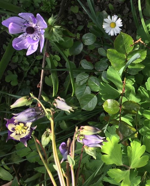 40A4962A-A24E-4387-9234-C39DAA366065 - Aprilie