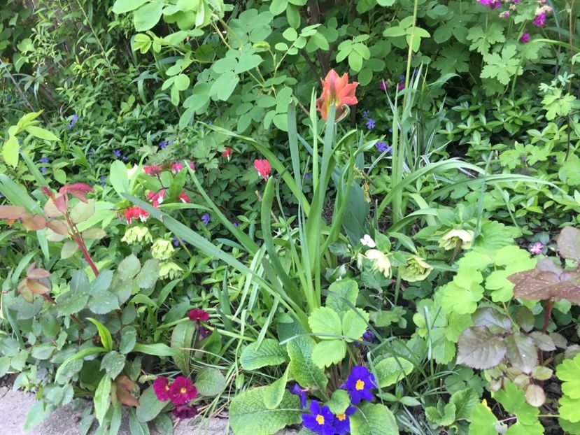 39BB350E-4693-49A9-AAC1-88B09A010A57 - Aprilie