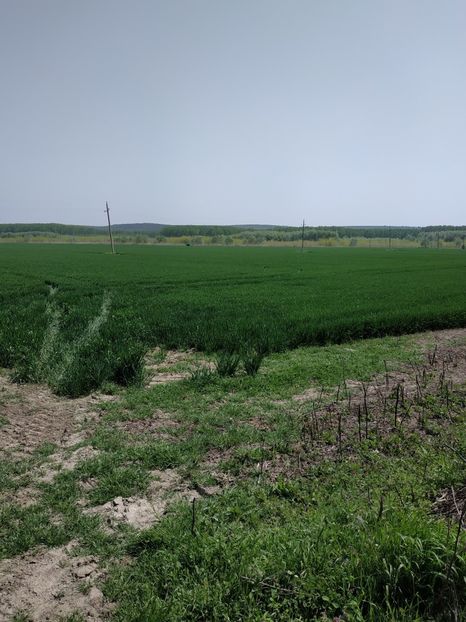  - AgroNova 25-04-2019