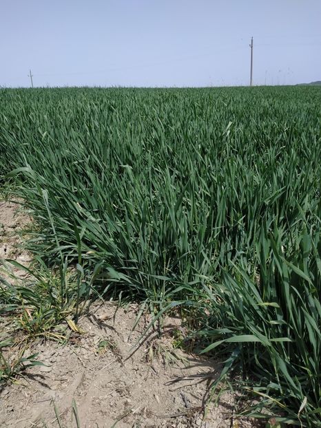  - AgroNova 25-04-2019