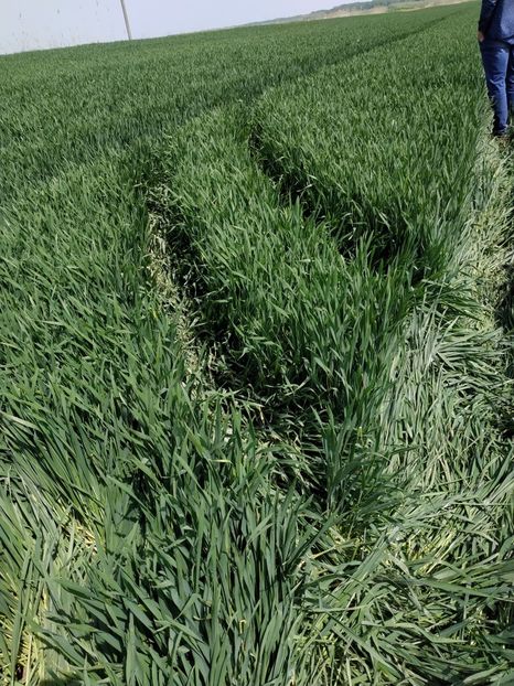  - AgroNova 25-04-2019