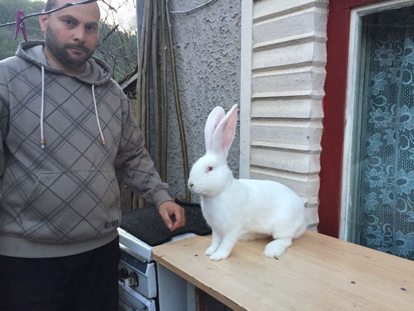 8F82AC21-5B66-4485-A1F2-F33BA6E19AAD - RO 8-12817