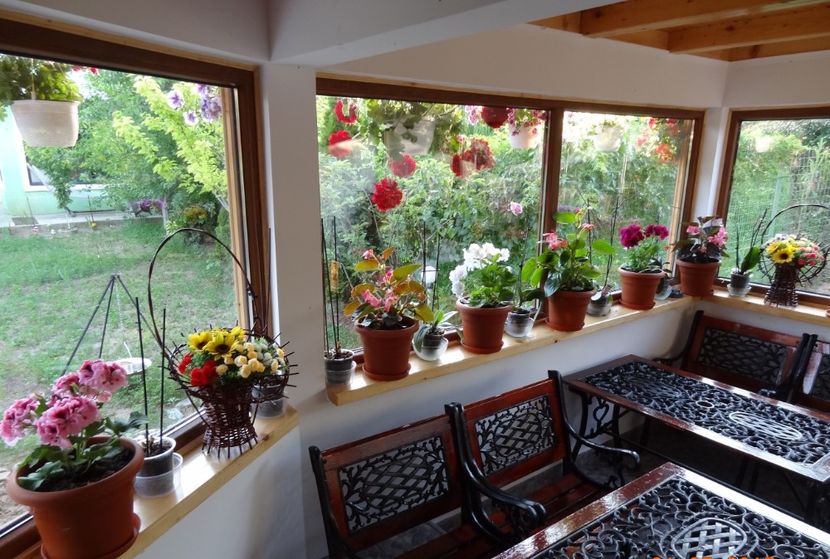  - U-GRADINA MEA