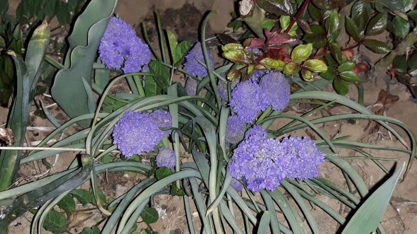  - Primavara 2019-2022