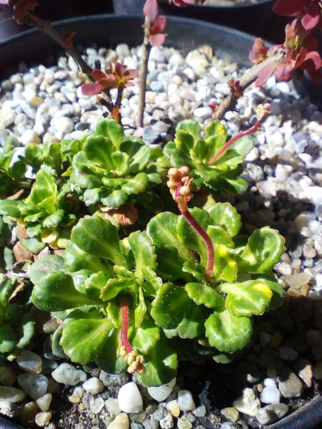  - curtea cu toate cele 2019