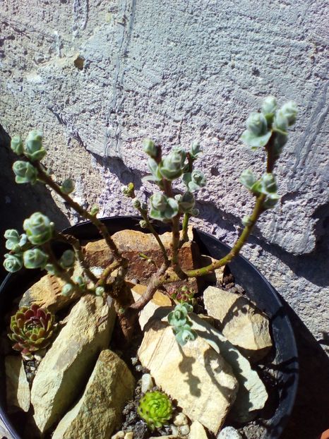  - curtea cu toate cele 2019