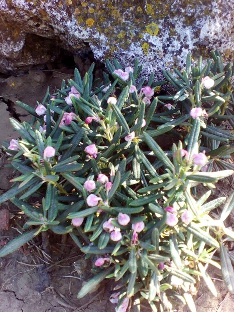  - curtea cu toate cele 2019