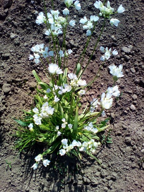  - curtea cu toate cele 2019