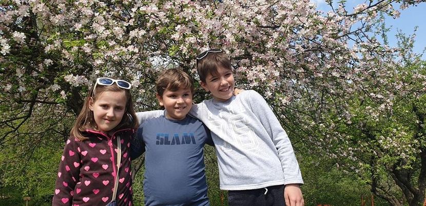 MT - 2019 PRIMĂVARA LA GRĂDINĂ